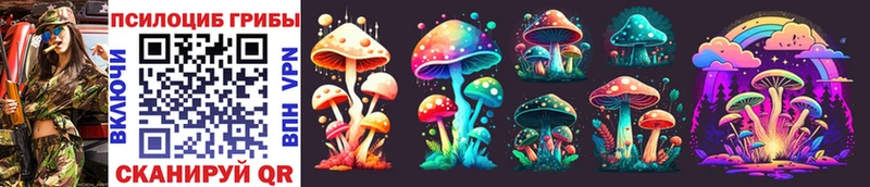 Галлюциногенные грибы Magic Shrooms  Алейск 